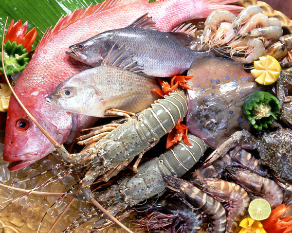 Trẻ bị sởi nên kiêng các thức ăn dễ gây dị ứng như thủy hải sản